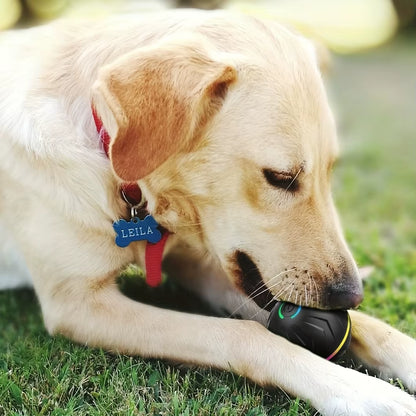 Interactive & Intelligent Teasing Dog Ball