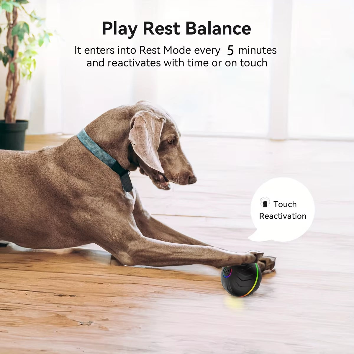Interactive & Intelligent Teasing Dog Ball